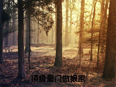 顶级豪门做娘家，渣男他追悔莫及小说（ 陆安禾厉成扉）全文免费阅读无弹窗大结局_( 陆安禾厉成扉)顶级豪门做娘家，渣男他追悔莫及小说免费阅读无弹窗最新章节列表_笔趣阁（ 陆安禾厉成扉）