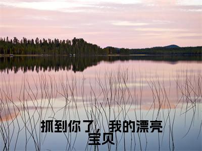 抓到你了,我的漂亮宝贝(江星檀弗兰穆赫)小说全文免费阅读-抓到你了,我的漂亮宝贝(江星檀弗兰穆赫)小说免费版最新更新阅读