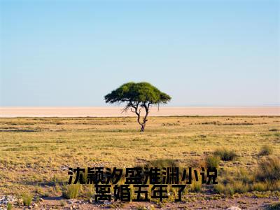  沈颖汐盛淮渊（小说离婚五年了，总裁前夫跪求复合）全文在线免费阅读无弹窗_ 沈颖汐盛淮渊最新章节列表_笔趣阁