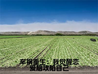 车祸重生：我觉醒恋爱脑攻陷自己（ 苏棠花颜）免费最新小说_ 苏棠花颜（车祸重生：我觉醒恋爱脑攻陷自己）免费版今日已更新