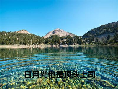 白月光他是顶头上司 (颜念周然)全文免费完结版阅读_(颜念周然)白月光他是顶头上司 最新章节列表笔趣阁(颜念周然)