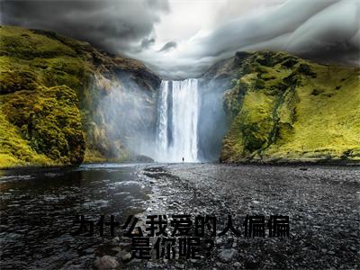 主角是白思柔厉寒庭的小说叫什么名字 为什么我爱的人偏偏是你呢? 精彩结局阅读