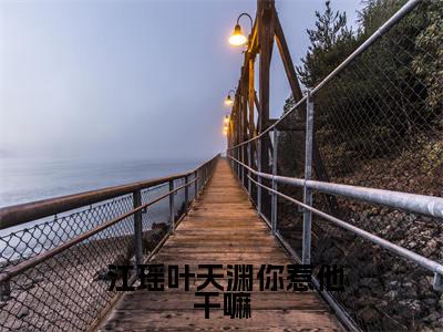  江瑶叶天渊的小说免费阅读（你惹他干嘛，他是龙国至尊战神的小说免费阅读）全文完整版免费阅读-你惹他干嘛，他是龙国至尊战神好书推荐
