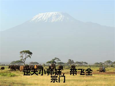 逆天小师妹,带飞全宗门免费阅读无弹窗大结局-龙阙阙(逆天小师妹,带飞全宗门最新全章节大结局)全文阅读