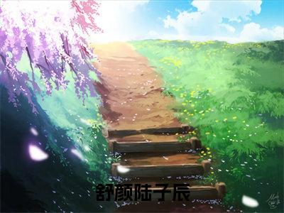舒颜陆子辰（陆子辰舒颜）全文免费阅读-舒颜陆子辰（陆子辰舒颜）全章节完整版在线阅读
