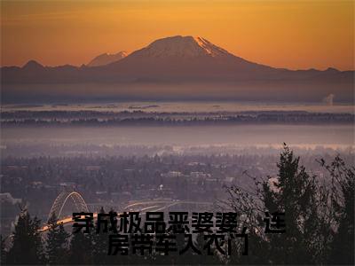 何翠枝方柳生(穿成极品恶婆婆,连房带车入农门)高质量小说免费阅读-主角是何翠枝方柳生的小说叫什么名字(穿成极品恶婆婆,连房带车入农门)