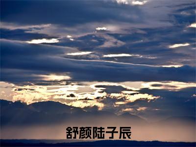 舒颜陆子辰热门推荐小说(陆子辰舒颜)精彩章节阅读-舒颜陆子辰全文免费在线阅读_笔趣阁