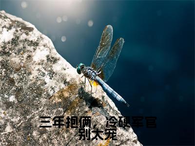 林阮周傅川（三年抱俩，冷硬军官别太宠）在哪免费看-林阮周傅川小说（三年抱俩，冷硬军官别太宠）全文完整版免费阅读