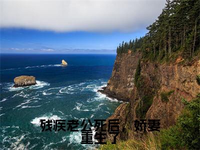 残疾老公死后,娇妻重生了热门榜单小说 蒋初初沈纪年完本小说无弹窗免费阅读