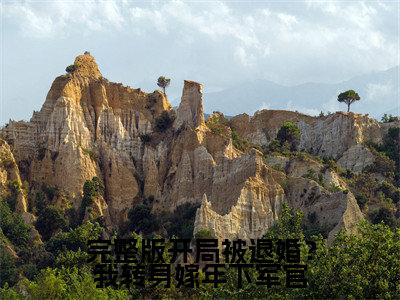 完整版开局被退婚？我转身嫁年下军官小说最新试读_ 姜颜俞成州是（完整版开局被退婚？我转身嫁年下军官）_笔趣阁（完整版开局被退婚？我转身嫁年下军官）