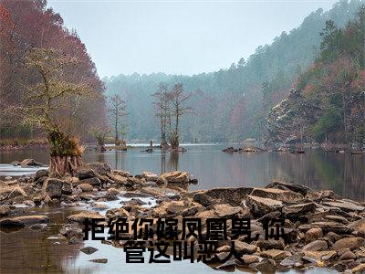 拒绝你嫁凤凰男,你管这叫恶人(阮云罗尹筱柔)小说全文免费阅读无弹窗_(阮云罗尹筱柔)最新章节列表_笔趣阁