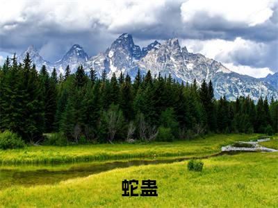 主角是夏芸昕云衢的小说（蛇蛊）-（蛇蛊）夏芸昕云衢全文免费阅读无弹窗大结局笔趣阁