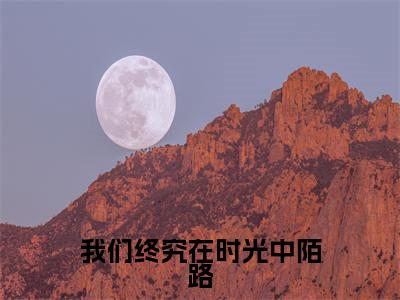 我们终究在时光中陌路(谢婉茹沈晚琛)小说全文免费阅读无弹窗大结局_(我们终究在时光中陌路全文免费阅读)谢婉茹沈晚琛最新章节列表_笔趣阁