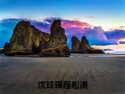 小说沈玲瑛程松涛在线阅读-正版小说《程松涛沈玲瑛》沈玲瑛程松涛全文阅读