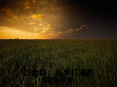 四合院:从吊打满院禽兽开始全文免费阅读无弹窗-(赵学成在线阅读)四合院:从吊打满院禽兽开始最新章节列表笔趣阁