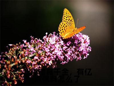 【完整版】(我糊咖真千金,有亿点黑料怎么了小说夏木沈洛)精彩小说全本资源免费阅读结局无删节_夏木沈洛全章节阅读
