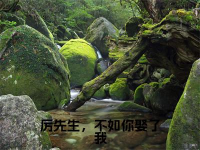 厉先生,不如你娶了我全文小说(宋星月厉云深)在线阅读无弹窗大结局_宋星月厉云深全文在线阅读无弹窗