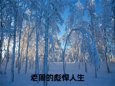  赵菲菲菲菲（老周的彪悍人生最新全章节大结局）全文阅读
