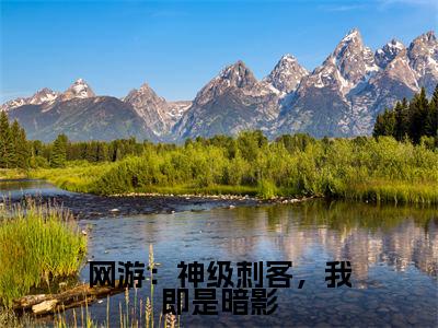 网游:神级刺客,我即是暗影(秦风秦小悠)免费最新小说_秦风秦小悠(网游:神级刺客,我即是暗影)免费版今日已更新