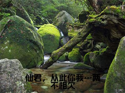 玄辞清芙(仙君,从此你我…两不相欠)全文免费阅读无弹窗大结局_(玄辞清芙)仙君,从此你我…两不相欠最新章节列表_笔趣阁(玄辞清芙)