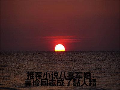 八零军婚：高冷同志成了黏人精免费小说  江宁江心柔全文完整版阅读