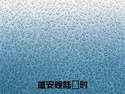 戚安晚陆璟时全文免费阅读_(戚安晚陆璟时)陆璟时戚安晚最新小说_笔趣阁