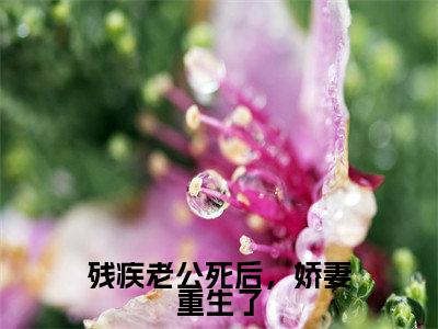 残疾老公死后,娇妻重生了(蒋初初沈纪年)小说最新推荐-蒋初初沈纪年残疾老公死后,娇妻重生了小说在线分享