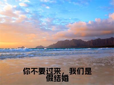 陆墨尘苏小影是哪部小说的主角，你不要过来，我们是假结婚免费阅读全文大结局
