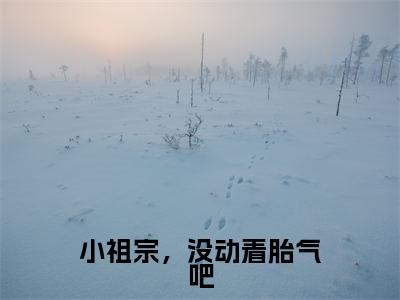 小祖宗,没动着胎气吧(慕京州沈南星)免费阅读无弹窗大结局-小祖宗,没动着胎气吧免费阅读大结局最新章节列表_笔趣阁