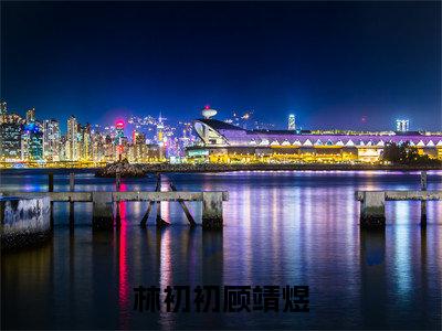 林初初顾靖煜小说全文免费阅读（顾靖煜林初初）全文免费阅读无弹窗大结局_（林初初顾靖煜）顾靖煜林初初结局最新章节列表_笔趣阁（顾靖煜林初初）