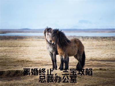 离婚终止,三宝攻陷总裁办公室最新章节(厉冥沉沈梨梦)全文免费阅读无弹窗大结局_离婚终止,三宝攻陷总裁办公室免费阅读(厉冥沉沈梨梦)