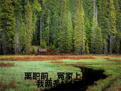（离职前，冤家上司送我两条红杠杠）谈信赫翁惜雾全文完整版-2023最新热门榜单小说离职前，冤家上司送我两条红杠杠（谈信赫翁惜雾）