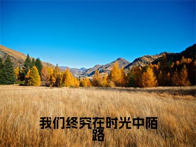 我们终究在时光中陌路热门榜单小说 谢婉茹沈晚琛完本小说无弹窗免费阅读