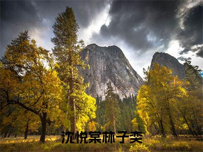 林子奕沈悦棠的小说免费阅读（沈悦棠林子奕小说免费阅读）全文免费阅读大结局-沈悦棠林子奕热门榜单好书推荐