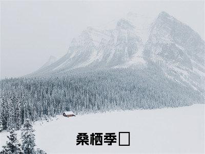桑栖季珵（季珵桑栖）全文免费阅读无弹窗大结局_桑栖季珵最新章节列表-笔趣阁季珵桑栖