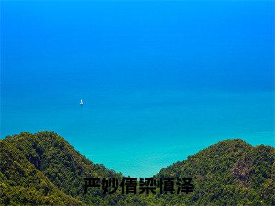 严妙倩梁慎泽全文免费阅读无弹窗大结局_(梁慎泽严妙倩免费阅读)严妙倩梁慎泽最新章节列表_笔趣阁