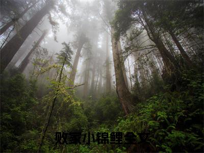  林羡鱼林云风全文（败家小锦鲤）完整版小说阅读_败家小锦鲤全本列表免费笔趣阁（ 林羡鱼林云风）