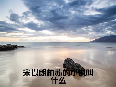 宋以朗林苏的小说叫什么小说 宋以朗林苏大结局-精彩美文 宋以朗林苏免费阅读