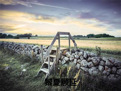 顾延黎夏(黎夏顾延)小说好看吗-顾延黎夏最后结局如何(黎夏顾延)小说无弹窗免费阅读