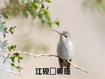 秦瑶江砚郬小说免费阅读无弹窗,小说名字是:江砚郬秦瑶的小说在线阅读无删减
