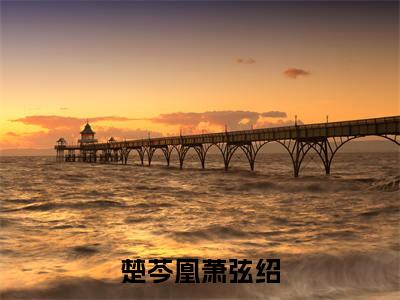 萧弦绍楚芩凰(楚芩凰萧弦绍)今日爆款小说-(萧弦绍楚芩凰)楚芩凰萧弦绍完结大结局免费阅读