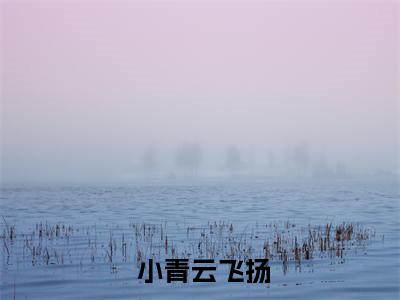  小青云飞扬（玄幻：三尺青锋见诸天小说全章版阅读）全文免费阅读无弹窗_玄幻：三尺青锋见诸天小说全章版阅读最新小说_笔趣阁（ 小青云飞扬）