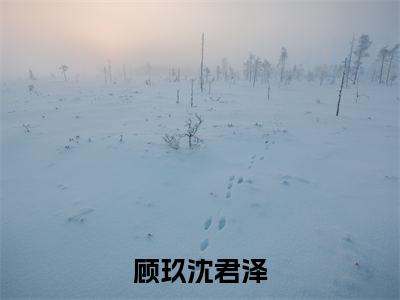 沈君泽顾玖（顾玖沈君泽）全文免费阅读无弹窗大结局_(顾玖沈君泽)沈君泽顾玖免费阅读无弹窗最新章节列表_笔趣阁（沈君泽顾玖）
