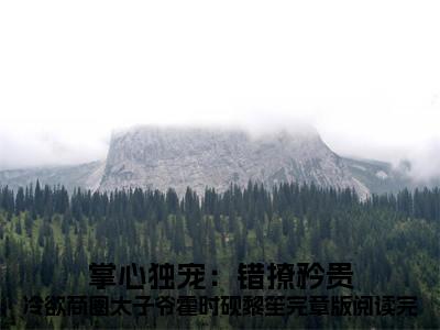 掌心独宠：错撩矜贵冷欲商圈太子爷霍时砚黎笙完章版阅读免费阅读  霍时砚黎笙最新章节目录