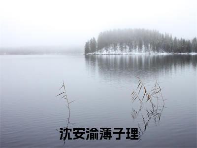 沈安渝薄子理(薄子理沈安渝)小说免费下载全本-沈安渝薄子理(薄子理沈安渝完整版)免费阅读无弹窗(沈安渝薄子理)