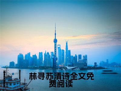  林寻苏清诗高赞小说（说我穷酸样？亮出身份吓死你）完结阅读_说我穷酸样？亮出身份吓死你免费看全文