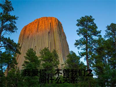 我爱你,不管我们之间什么关系在线阅读全文免费阅读无弹窗大结局_盛晏和柯雪最新章节列表_笔趣阁