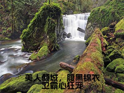 美人倾城，腹黑锦衣卫霸心狂宠小说最新章节-万樱萧凛全文免费阅读无弹窗大结局