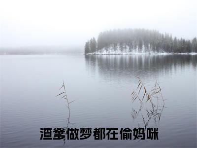  秦慕深温舒曼全文免费阅读_（渣爹做梦都在偷妈咪免费阅读无弹窗） 秦慕深温舒曼最新章节列表笔趣阁（渣爹做梦都在偷妈咪）