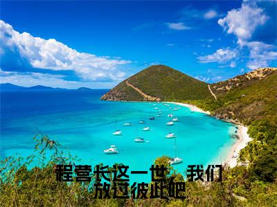 小说（程营长这一世，我们放过彼此吧）_沈玲瑛程松涛全文阅读_程营长这一世，我们放过彼此吧免费阅读大结局